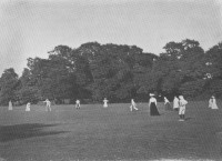 Men vs Maidens cricket 1914